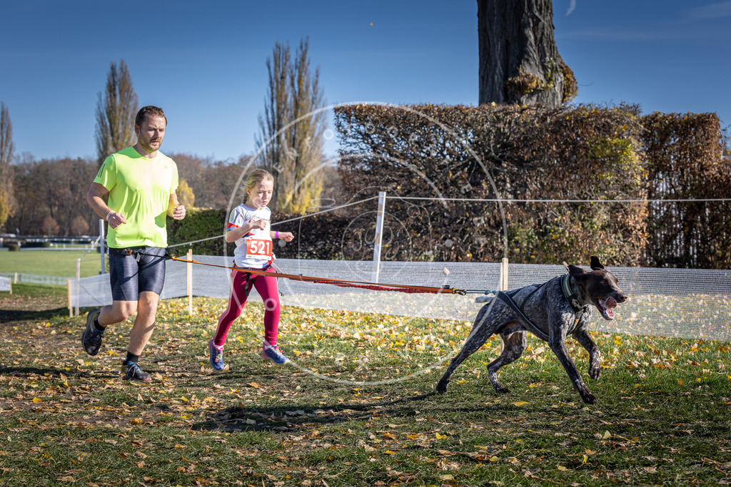 CaniXpix_DV3A8121 | Hundefotografie, Tierfotograf, Pfotenfotografie, Fotoshooting Hund, Hunde Portrait, Hundesport, Hundeportraits, Heideshooting, Hunde, Sportfotograf, Hundefotograf, Turnierhundsport, THS,  - Realisiert mit Pictrs.com