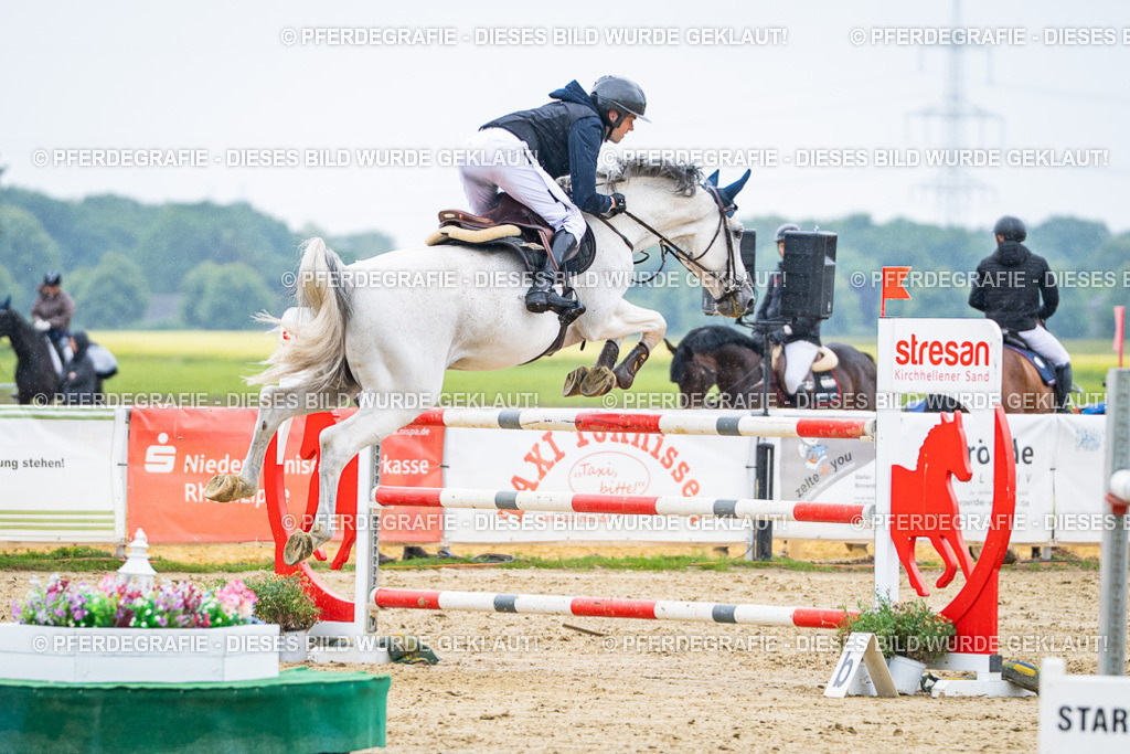 DSC09505 | Pferdegrafie