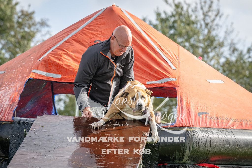 1214-92945 | kk-dogfotos
