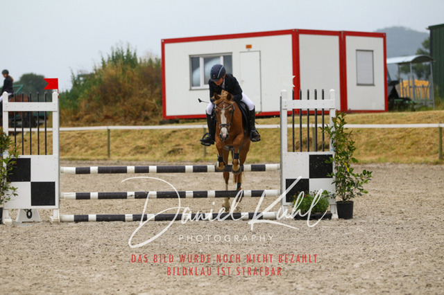 DKP47269 | Turniersportfotografie; Pferdefotografie; Dressurfotografie