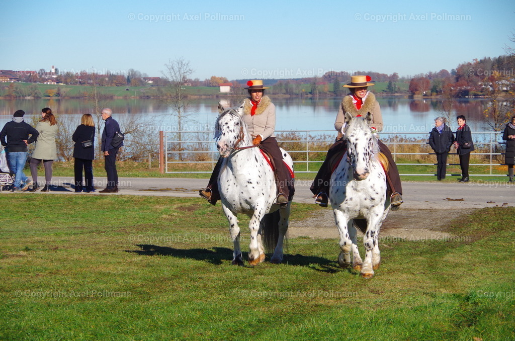IMGP7514 | fotografiert von Axel PollmannLeonhardi Wallfahrt Benediktbeuern und Murnau, Fronleichnam, Fasching, Landschaft im Loisachtal und Benediktbeuern  - Realisiert mit Pictrs.com