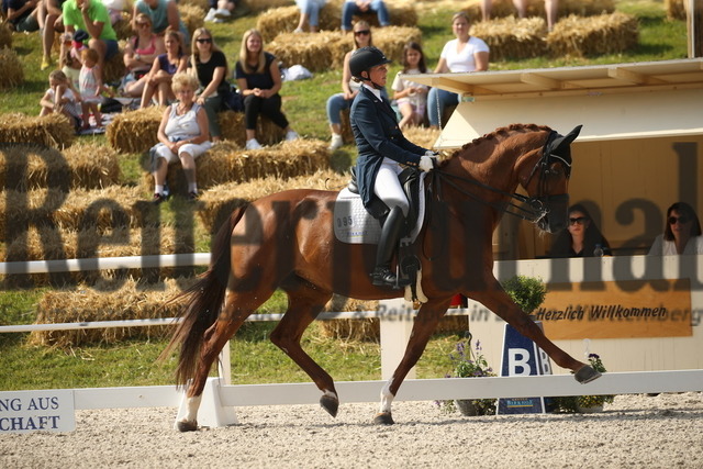 Birkhof_2022_GrandPrixSpecial_Nicole Casper_Birkhof_s Don Röschen FBW(5) | Alle Fotos der Reiterjournal Fotografin Doris Matthaes im Reiterjournal Online-Fotoshop. - Realisiert mit Pictrs.com