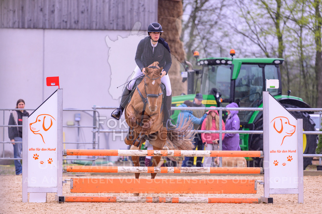 12042026-Mammendorf-Prfg38-0114 | Fokus Hufschlag Fotografie - Realisiert mit Pictrs.com