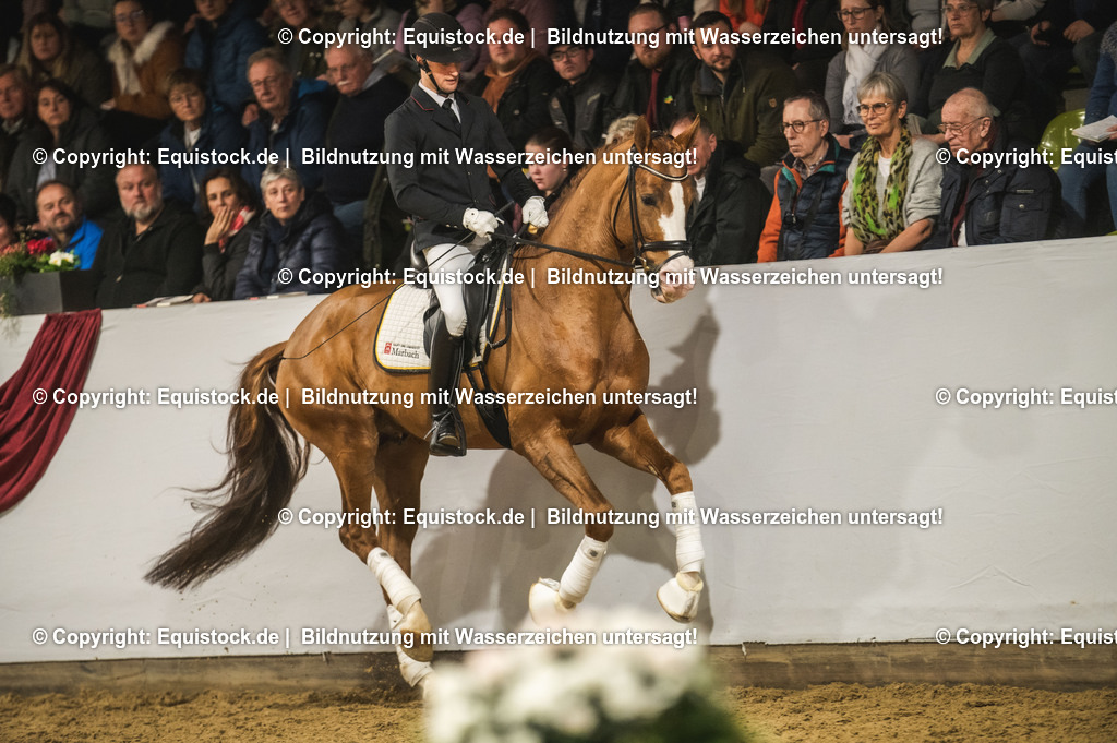 20240302_Hengstvorstellung_Marbach_TOMsPiC_0530 | equistock