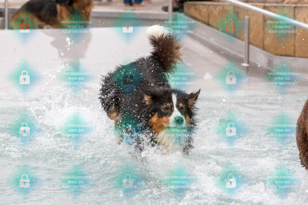 _HP_7455_1000o | HetPix, HetPix Fotodesign, Fotografie, Fotodesign, Webshop, Sportfotografie, Portraitfotografie, Onlineshop, Sportfotografie, Polch, Motorsportfotografie, Eventfotografie