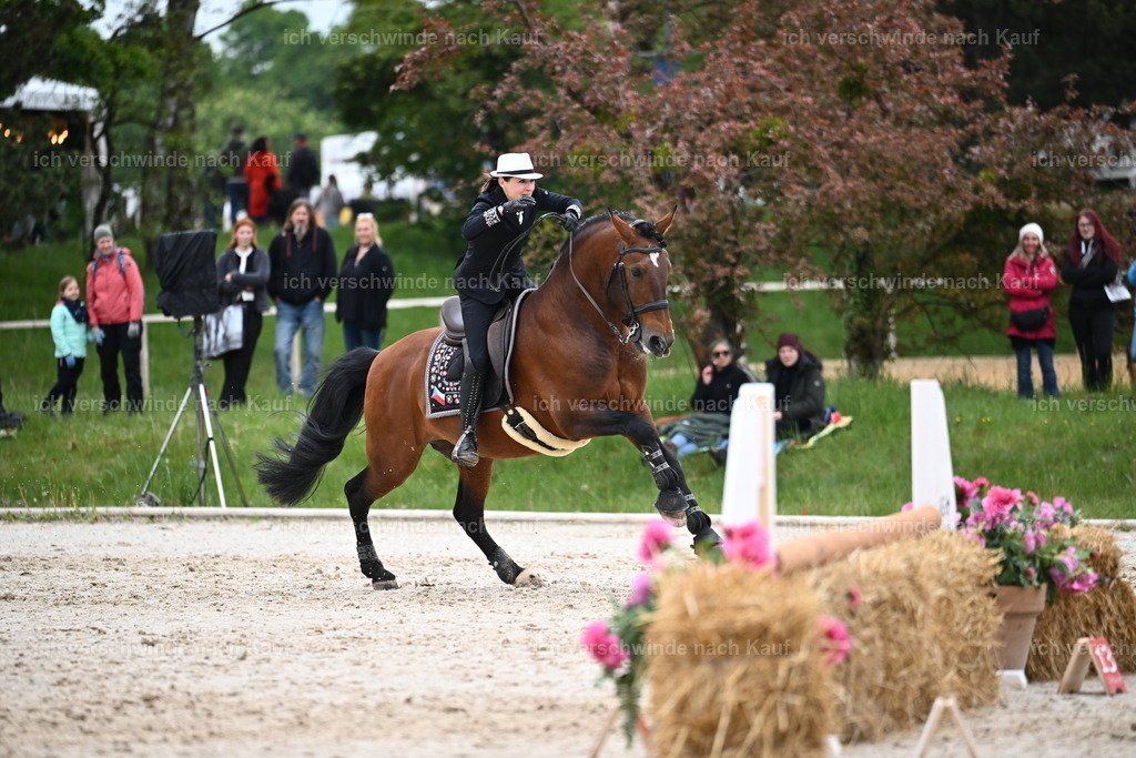 PI26_SP_Sara_Landvogt_226_4944.JPG | working equitationturnier fotograf videograf stoibphotography marixx film working equitation deutschland reitsport turnierfotografie eventfotografie equestrian events
