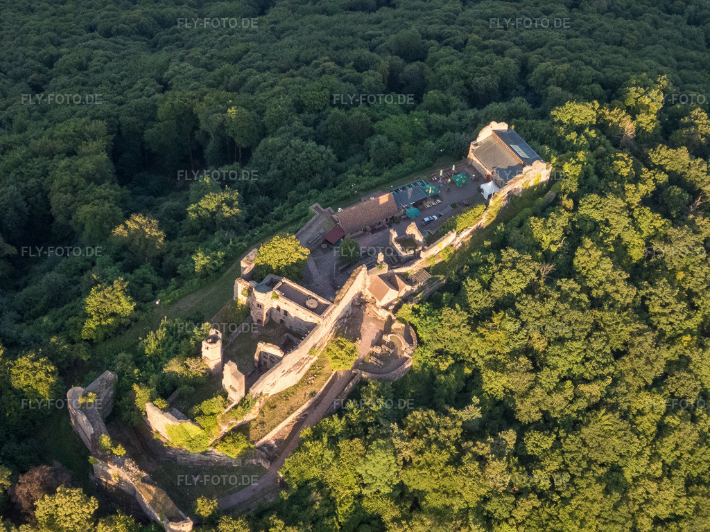 Luftbild: Burgruine Madenburg aus Westen in Eschbach im Bundesland Rheinland-Pfalz in Deutschland. Foto: P7130211.jpg vom 13.07.2017 durch Werner Riehm/FLY-FOTO.de – Madenburg