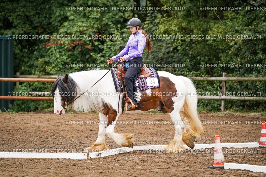 DSC03430 | Pferdegrafie