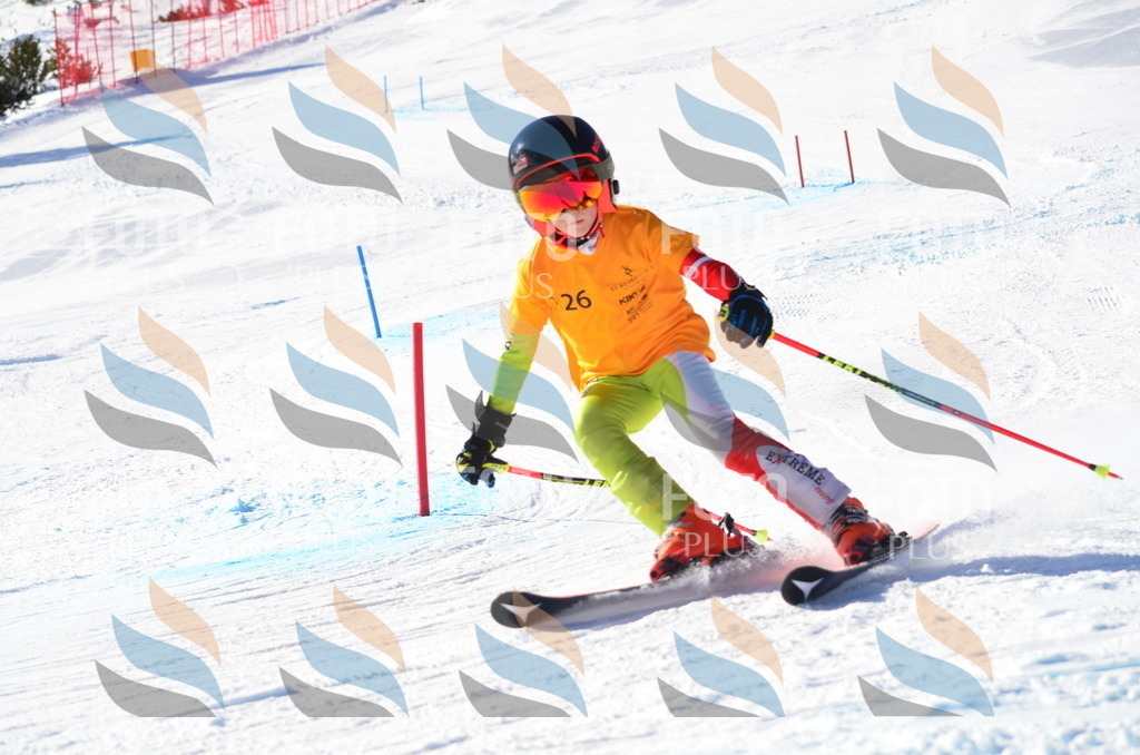 C6404 | holidayphoto