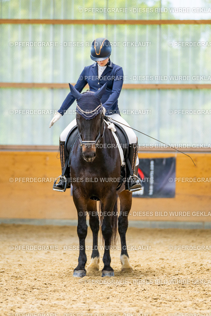 DSC08556 | Pferdegrafie