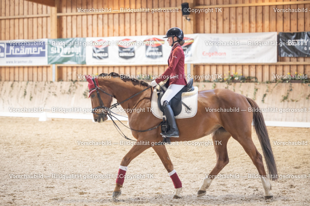 _D5A5579 | Emotionale Pferde- & People-Fotografie rund um Heidelberg, Leimen & Umgebung. Natürliche Fotos von Pferd, Mensch & Familie. Jetzt Termin sichern!