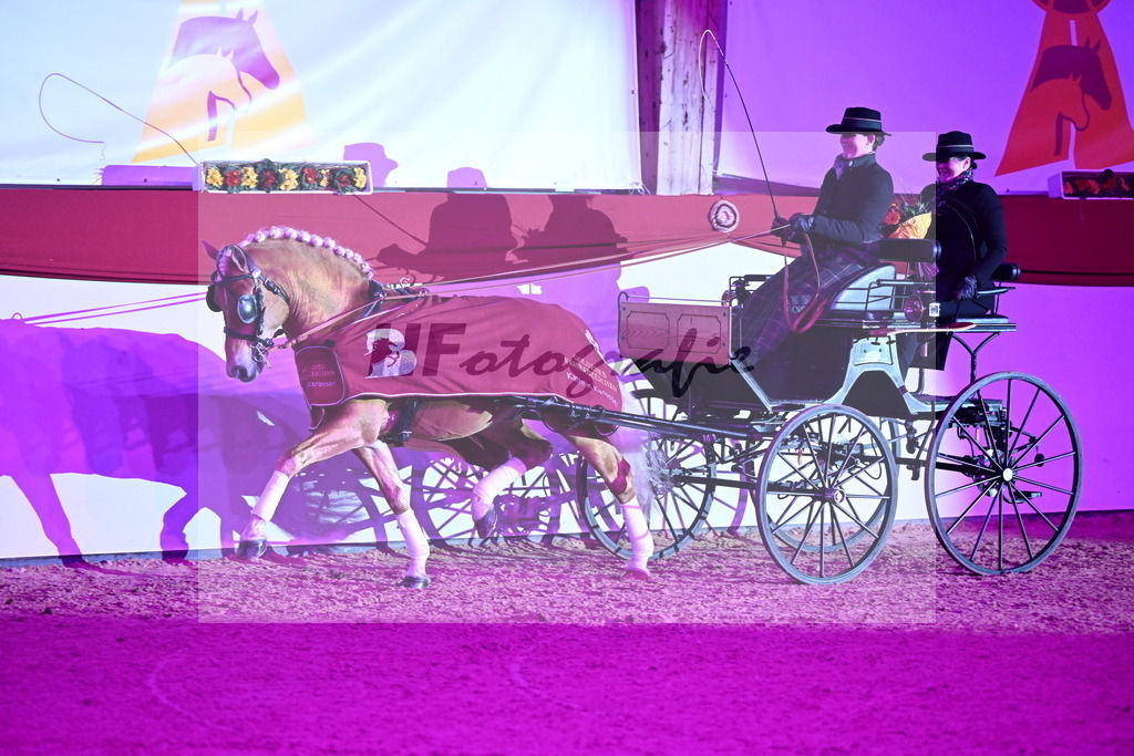 DSP_Avici_As_Karosser_2254564 | hf-fotografie - Realisiert mit Pictrs.com