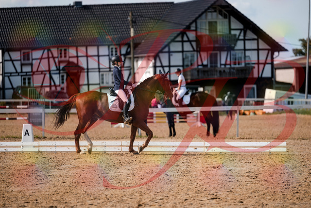 2026_10_03_Siefer-Hof_132902_Z63_90901152 | Professionelle Reitsport-, Turnier- und Eventfotografie von Robert Broda. Galerien mit ausgewählten und bearbeiteten Bildern direkt online ansehen und bestellen.