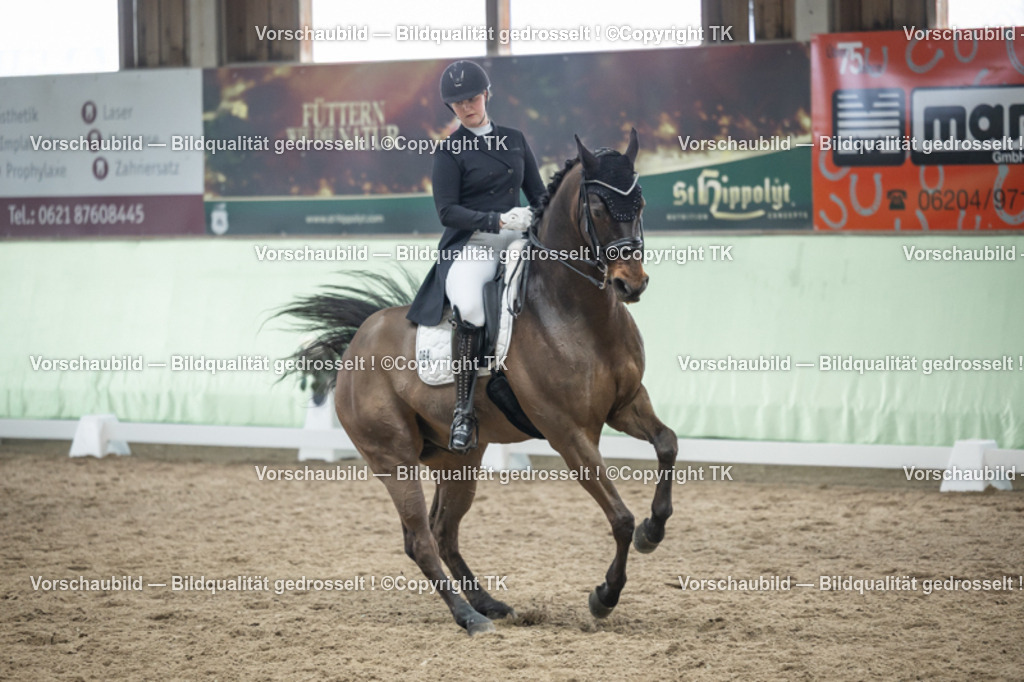 _D5A6303 | Emotionale Pferde- & People-Fotografie rund um Heidelberg, Leimen & Umgebung. Natürliche Fotos von Pferd, Mensch & Familie. Jetzt Termin sichern!