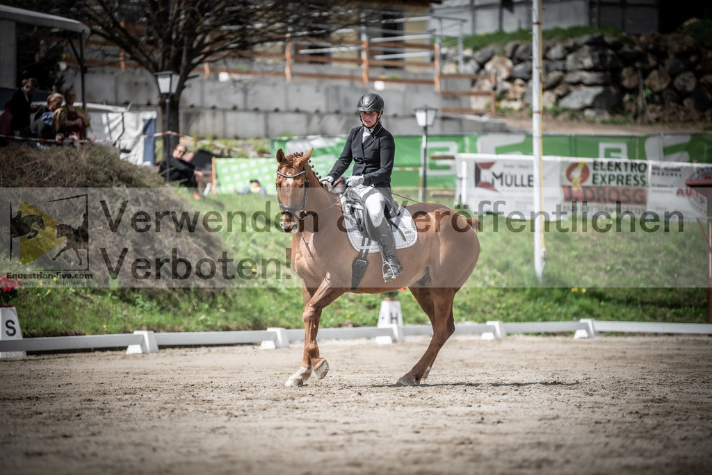 DSC_2532 | equestrian-live-com
