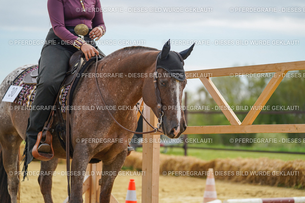 DSC03467 | Pferdegrafie