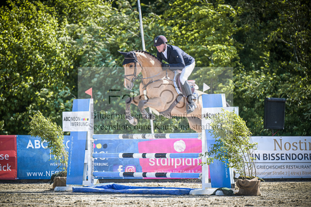 DOS_8627 | Entdecke hochwertige Reitturnierfotos von Foto Oger. Professionell, emotional und authentisch – jetzt Lieblingsmomente im Shop bestellen.Deutschlandweite Turnierfotografie. - Realisiert mit Pictrs.com
