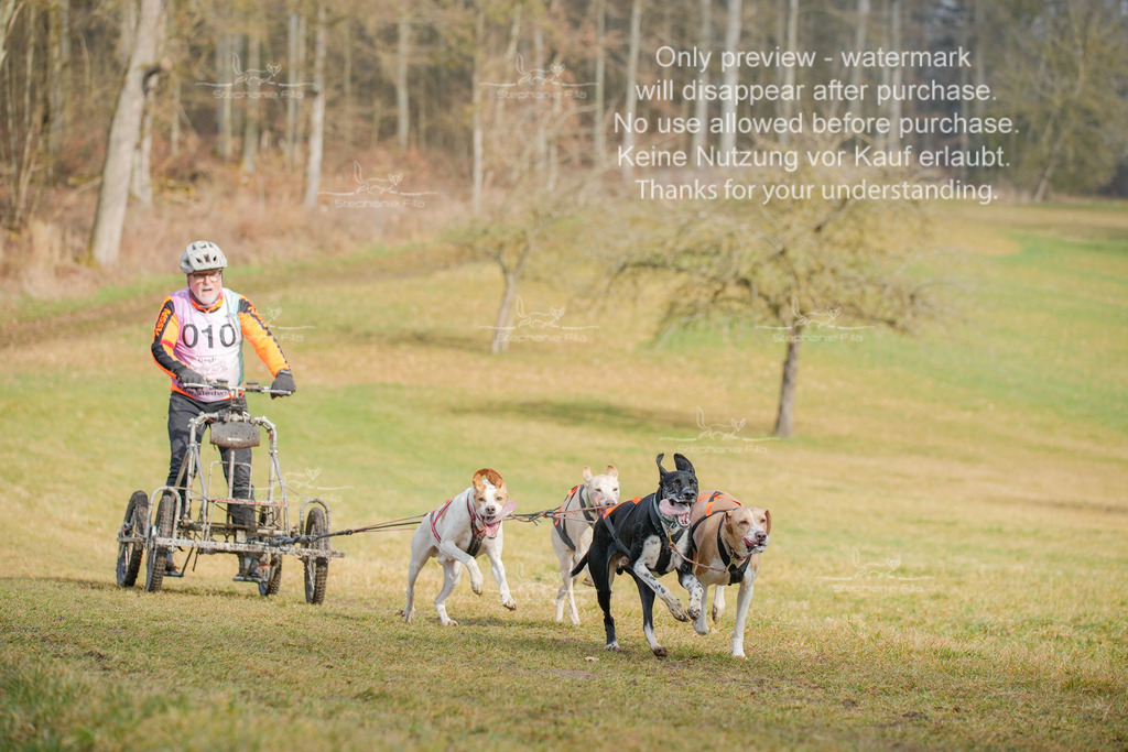 Sa_Gespanne-28 | stephaniefillaphotographie - Realisiert mit Pictrs.com