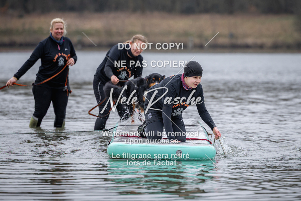 nelerasche_Hulsbeek_Sa1600-1700_269 | nelerasche