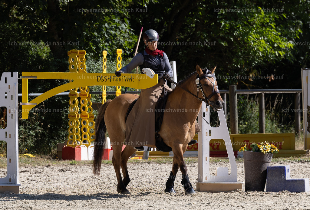 WA_Trail_125_KerstinBernhardt-6 | working equitationturnier fotograf videograf stoibphotography marixx film working equitation deutschland reitsport turnierfotografie eventfotografie equestrian events