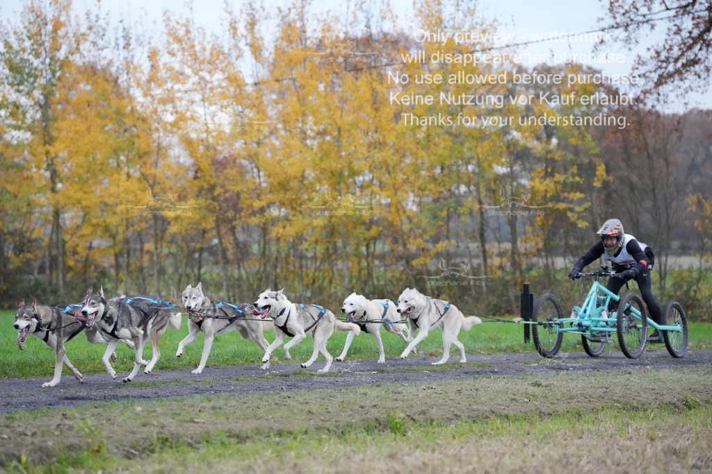 Visbeck_Sa_D4_6-48 | stephaniefillaphotographie - Realisiert mit Pictrs.com