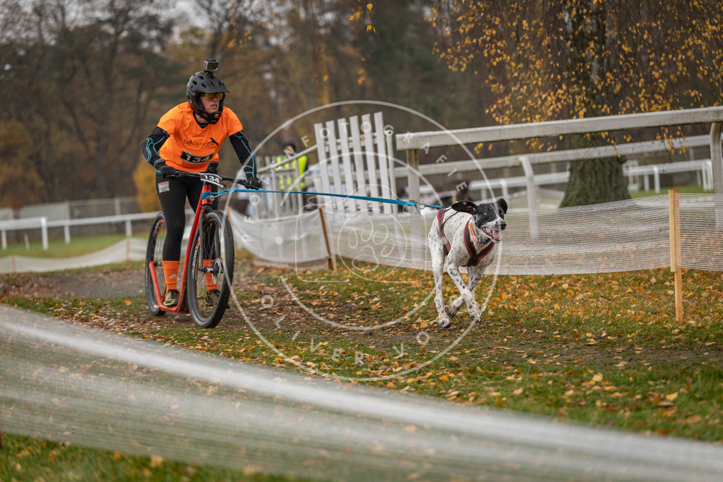 CaniXpix_DV3A8642 | Hundefotografie, Tierfotograf, Pfotenfotografie, Fotoshooting Hund, Hunde Portrait, Hundesport, Hundeportraits, Heideshooting, Hunde, Sportfotograf, Hundefotograf, Turnierhundsport, THS,  - Realisiert mit Pictrs.com