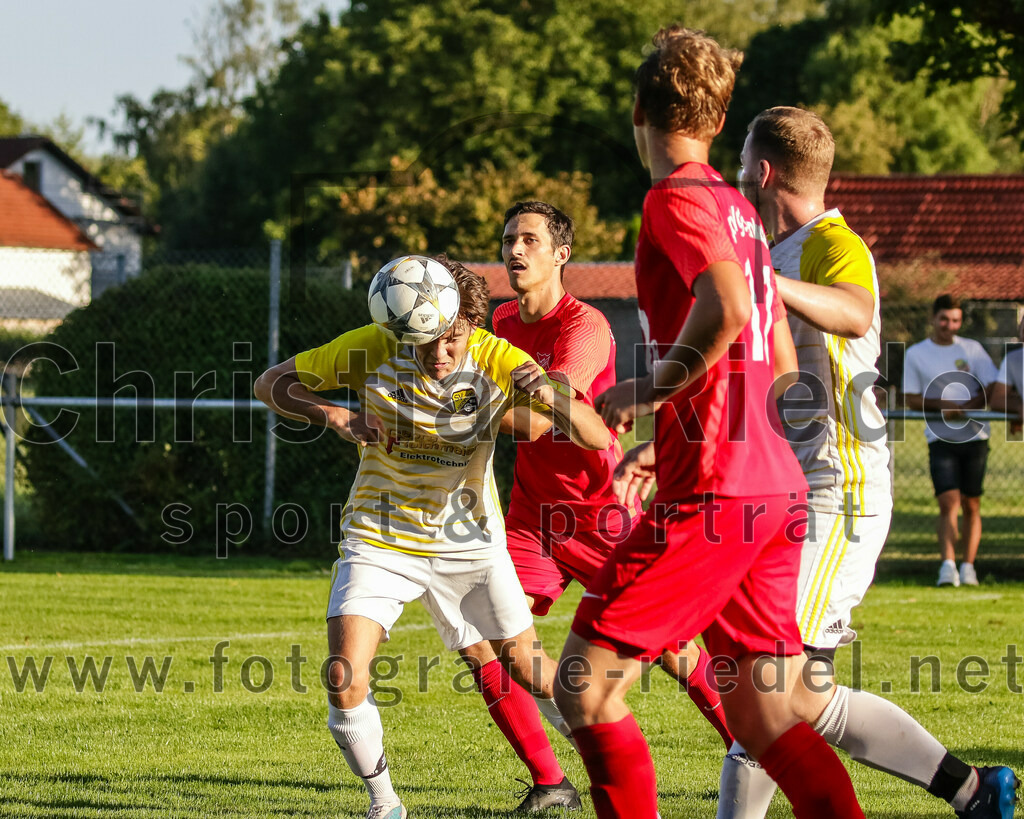 2023-08-18_102_SpVgg_Eichenkofen_gegen_FC_Langenpreising | Erding, Deutschland, 18.08.2023:
Fußball, A-Klasse 2023 / 2024, 3. Spieltag, SpVgg Eichenkofen gegen FC Langenpreising, Endergebnis: 0:2

Christoph Niedermüller (SpVgg Langenpreising, #13)

Foto: Christian Riedel / fotografie-riedel.net