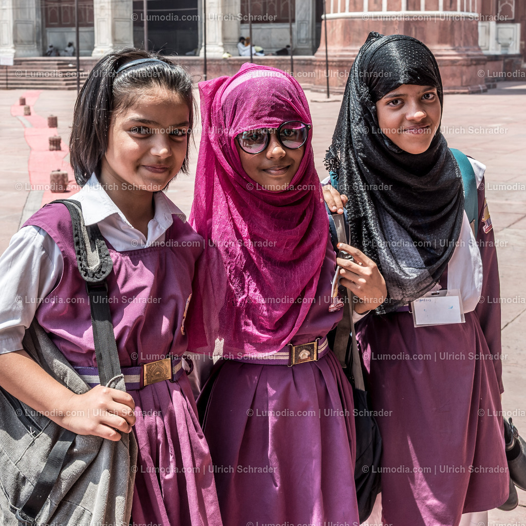 202510-199 | Stockfoto und Bilderpool mit Bildmaterial aus Deutschland, dem Harz, Halberstadt, Quedlinburg, Wernigerode und weltweit. Qualitativ hochwertige und professionelle Fotos anschauen und kaufen. - Realisiert mit Pictrs.com