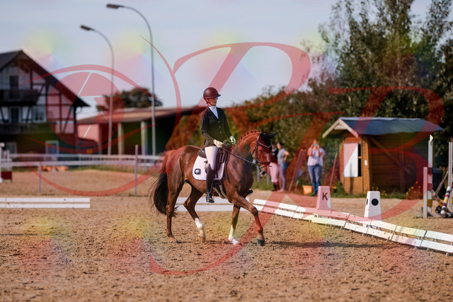 2026_10_03_Siefer-Hof_133155_Z81_87360877 | Professionelle Reitsport-, Turnier- und Eventfotografie von Robert Broda. Galerien mit ausgewählten und bearbeiteten Bildern direkt online ansehen und bestellen.