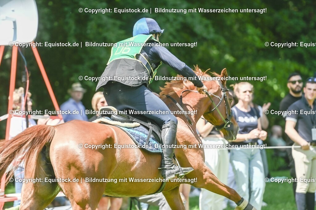 20230527_27_CCI4_Gelände_0037 | equistock