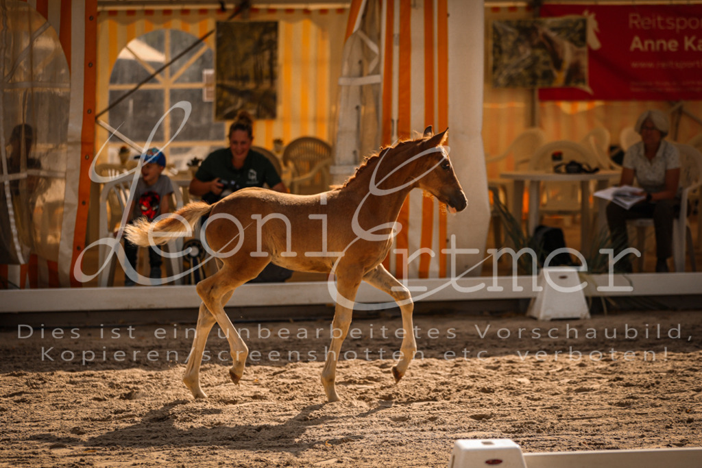 10.DoRP00179 | Leoni Ertmer Photography - Realisiert mit Pictrs.com