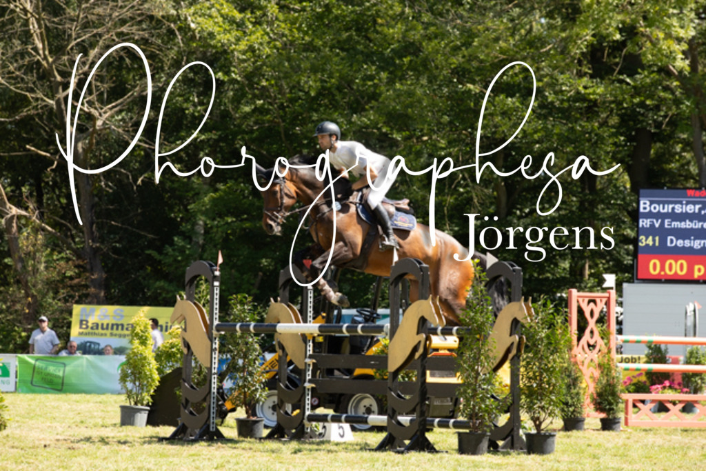 IMG_9143 | photographesa-joergens - Realisiert mit Pictrs.com