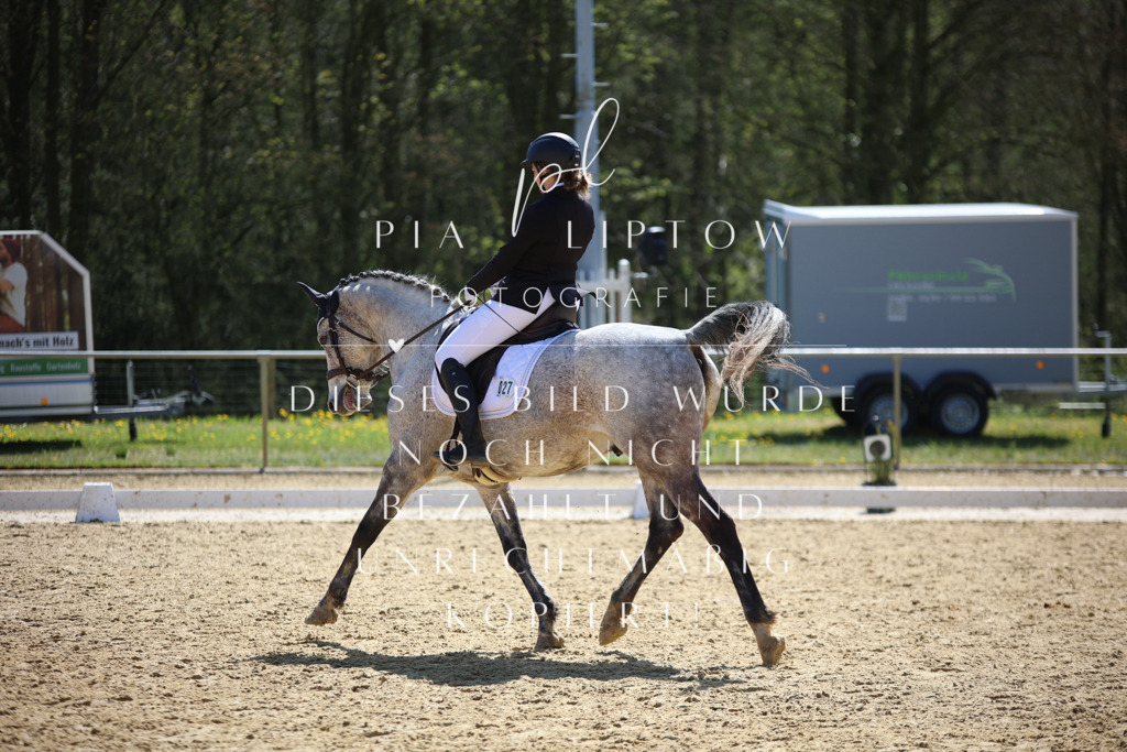 IMGT1611 | pl-fotografie