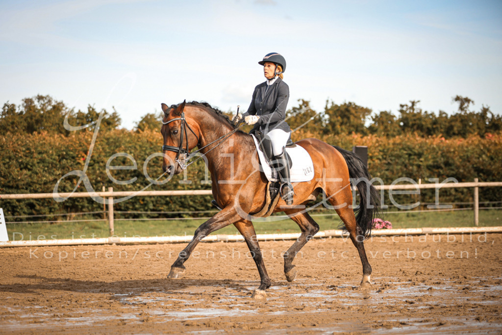 17.SoDrM00368 | Leoni Ertmer Photography - Realisiert mit Pictrs.com