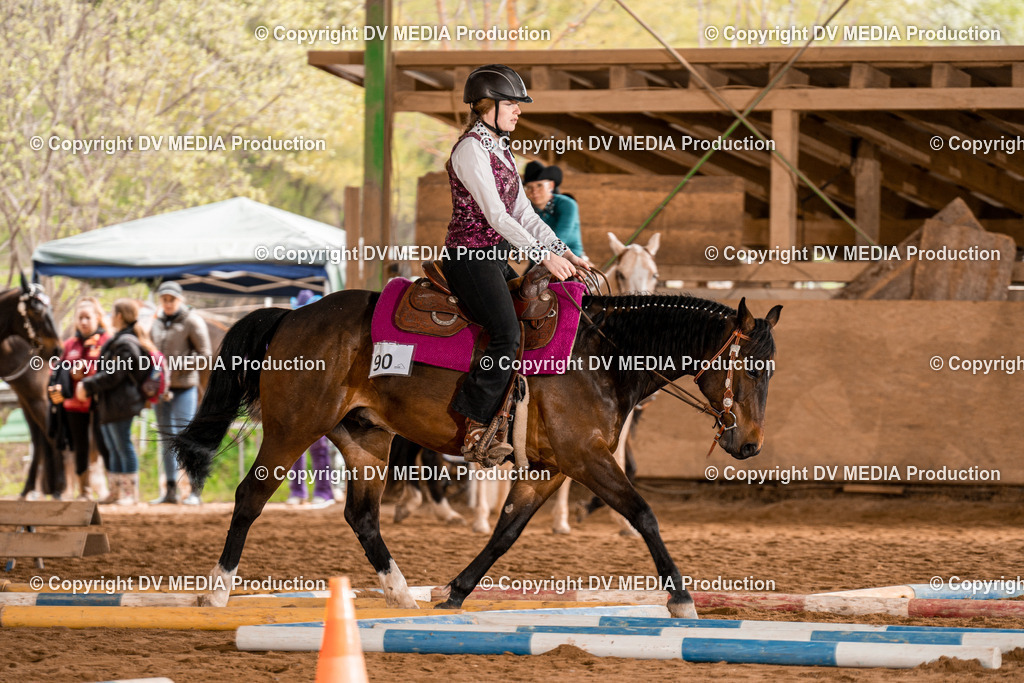 BA300499 | dv-media-shop - Realisiert mit Pictrs.com