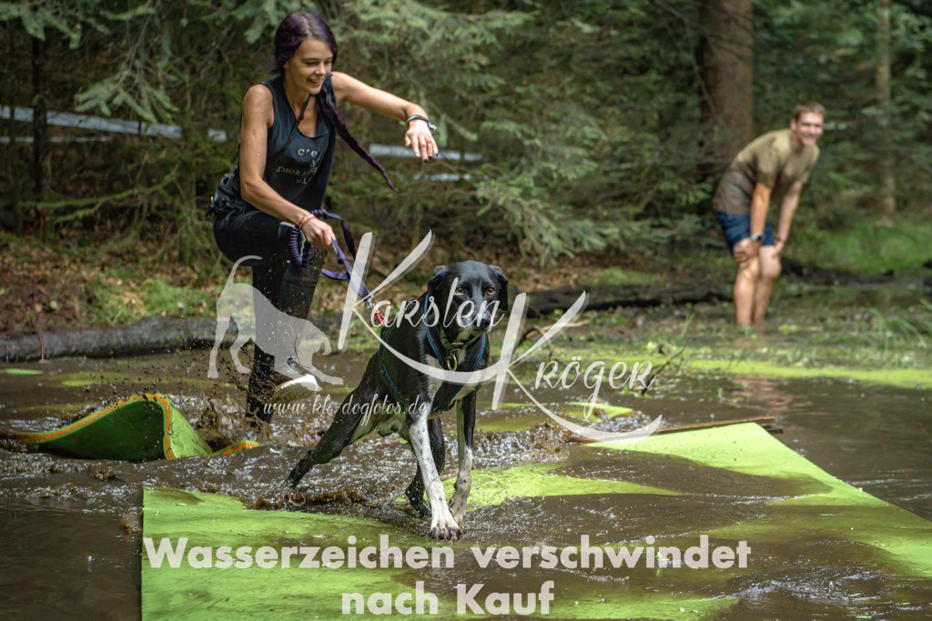 1532_ZZ91203-Bearbeitet | kk-dogfotos