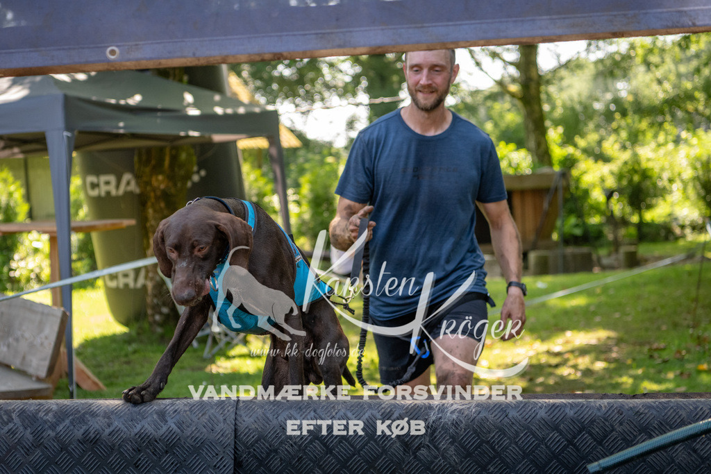 1450_ZZ94529 | kk-dogfotos