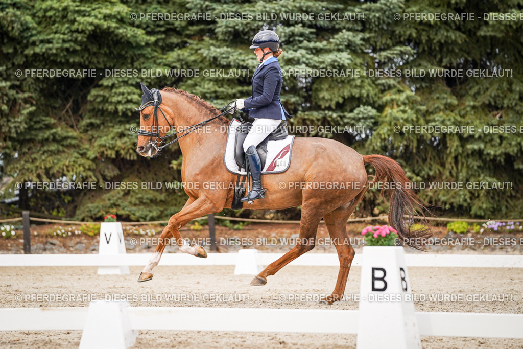 DSC07470 | Pferdegrafie