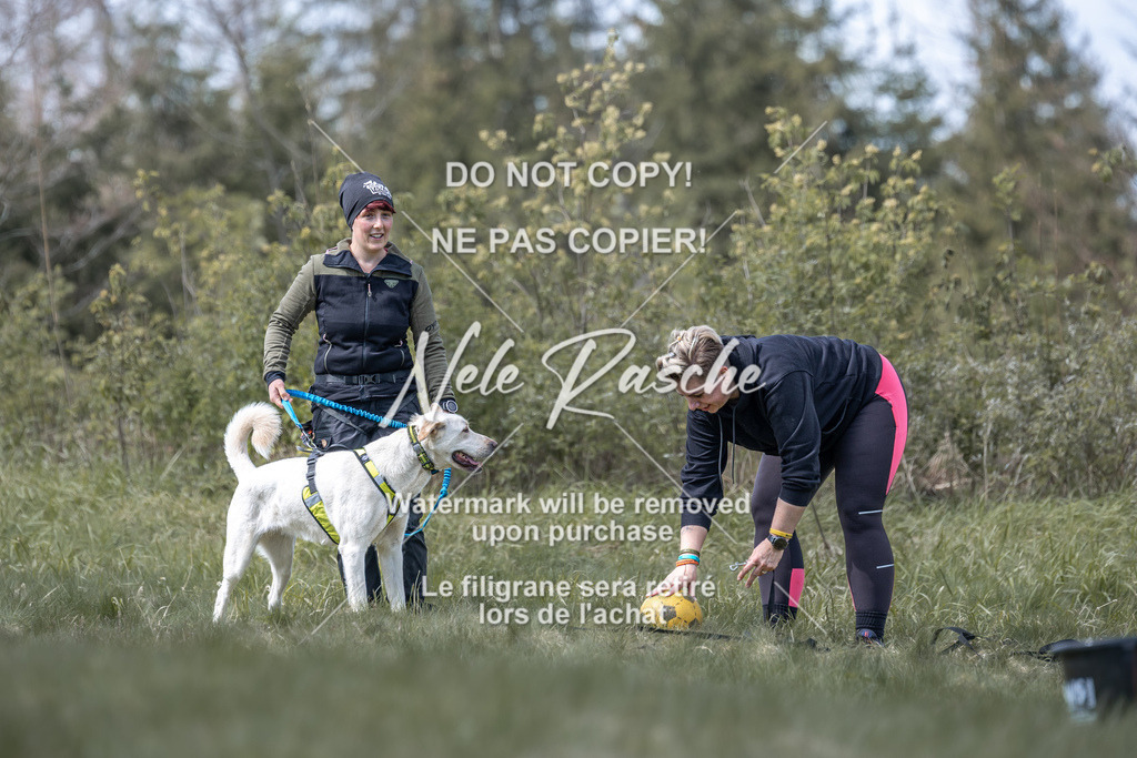 6Z1A0964 | nelerasche