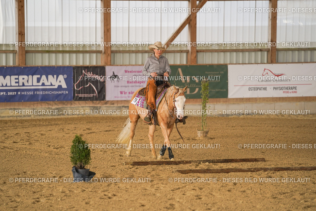 DSC01342 | Pferdegrafie