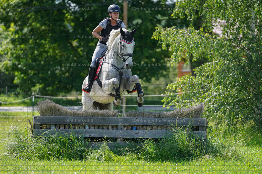20240622-FAH07803 | Turnierfotografen Bayern, Reitsportbilder aus dem Geländekurs mit Felix Etzel auf dem Gut Waitzacker 2024