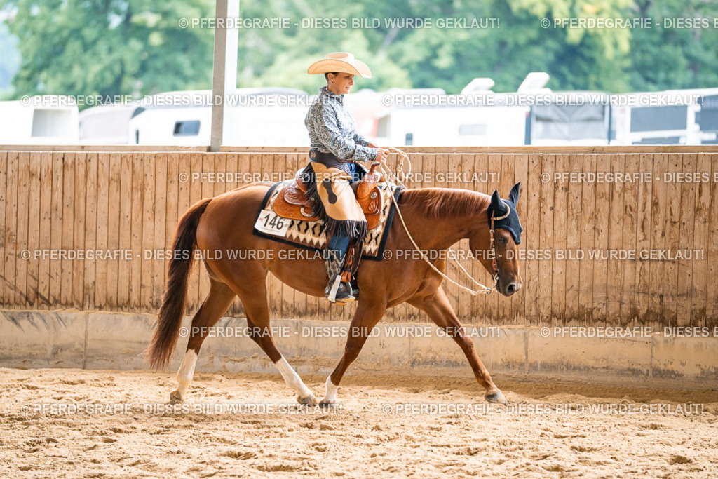 DSC00715 | Pferdegrafie