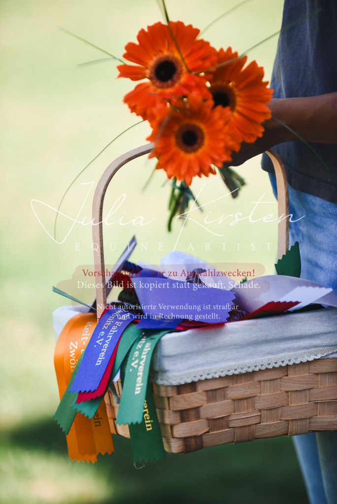 DSC_2605 | Pferde- und Turnierfotografie in Westsachsen. Pferdeportraits, Auftragszeichnungen und intuitive Kunst.