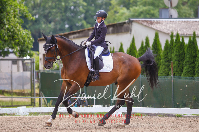 DKP42237 | Turniersportfotografie; Pferdefotografie; Dressurfotografie