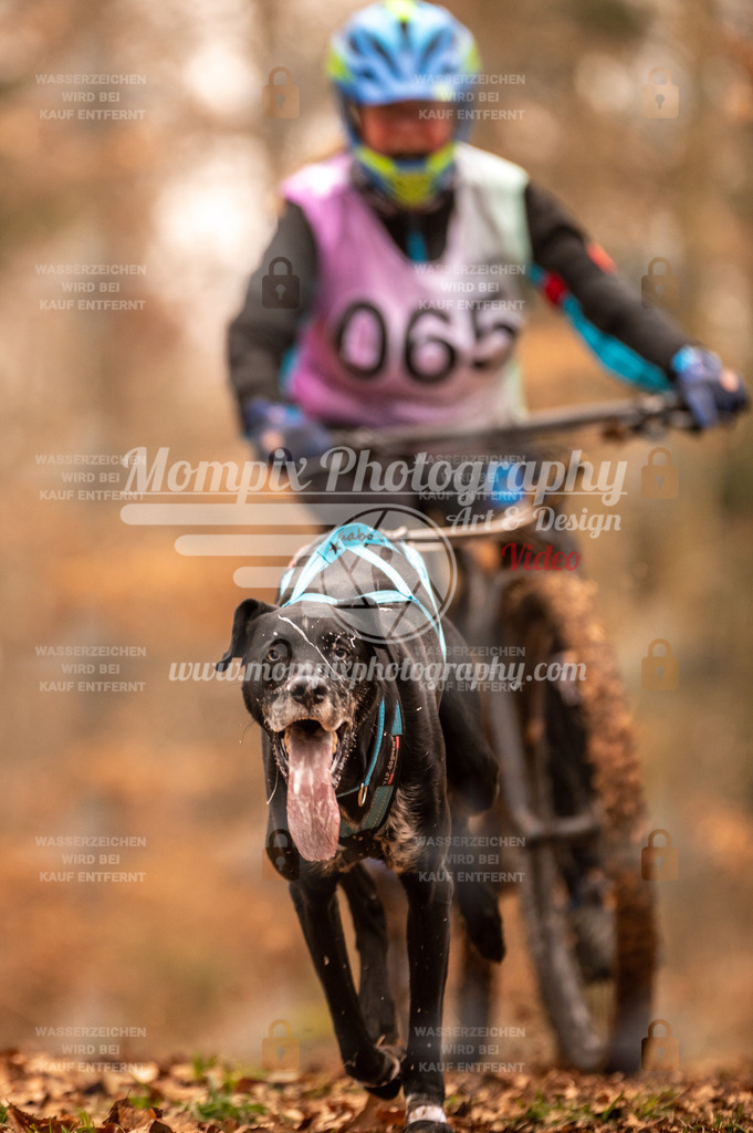 AKM_ST_2023_SAM_Bike-42 | PayLife
