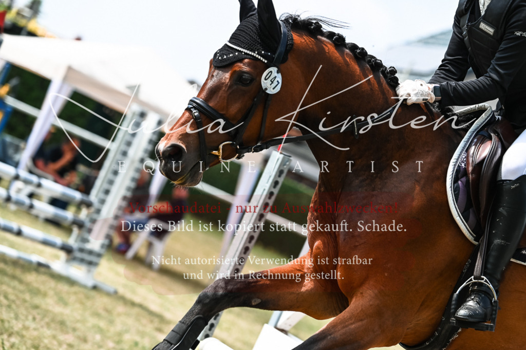 DSC_9486 | Pferde- und Turnierfotografie in Westsachsen. Pferdeportraits, Auftragszeichnungen und intuitive Kunst.