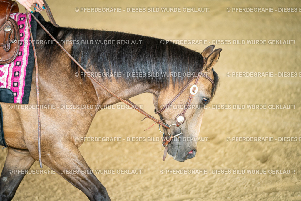 DSC07869 | Pferdegrafie