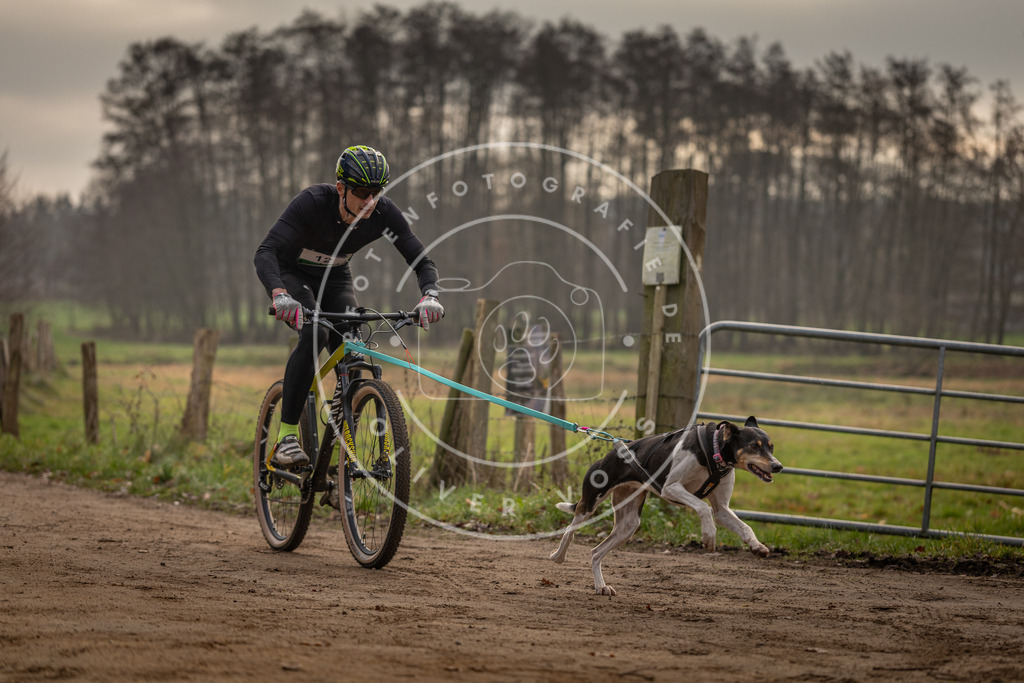 Pfotenfotografie_DV3A1790 | Hundefotografie, Tierfotograf, Pfotenfotografie, Fotoshooting Hund, Hunde Portrait, Hundesport, Hundeportraits, Heideshooting, Hunde, Sportfotograf, Hundefotograf, Turnierhundsport, THS,  - Realisiert mit Pictrs.com