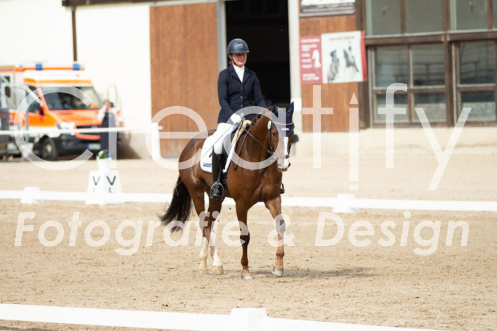 IMG_1619 | Creatify Fotografie