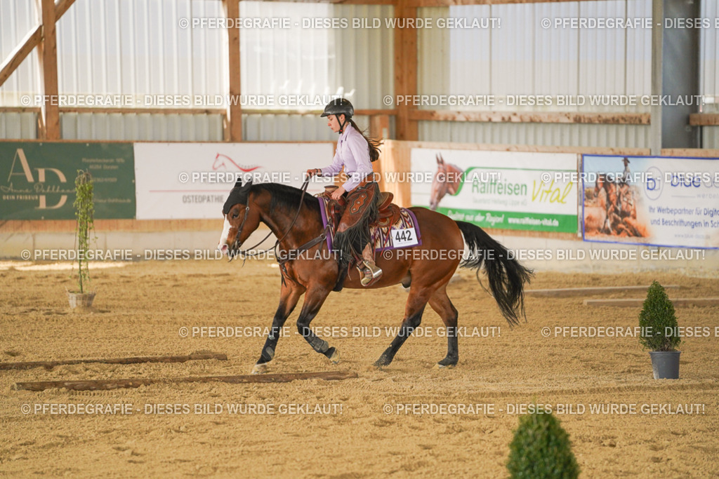 DSC06114 | Pferdegrafie